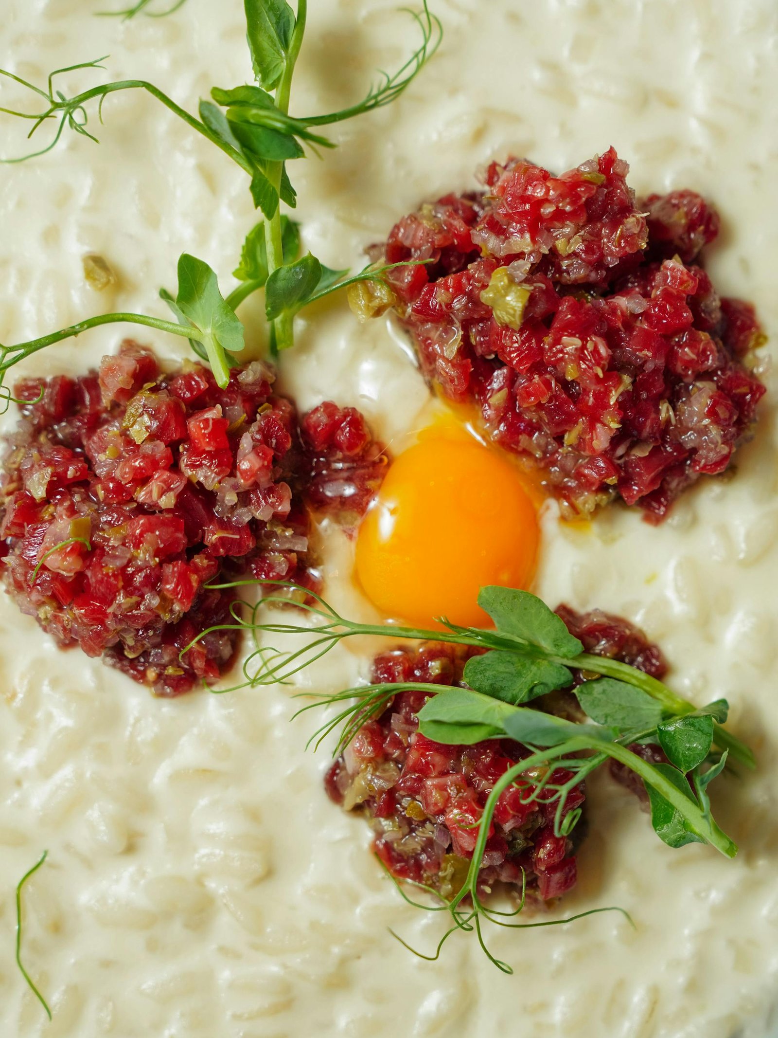 Delicious beef tartar served with fresh egg yolk and green herbs on creamy dish.